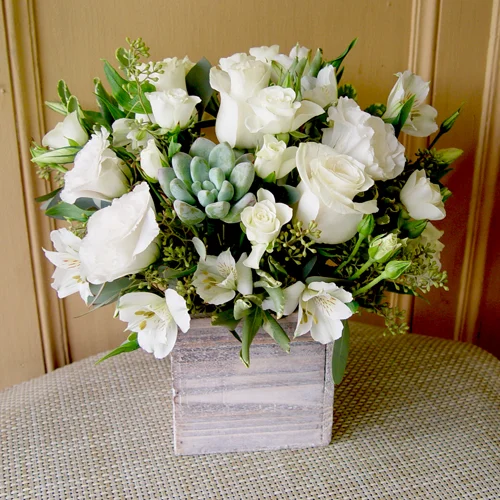 Box-of-Beauty.jpg