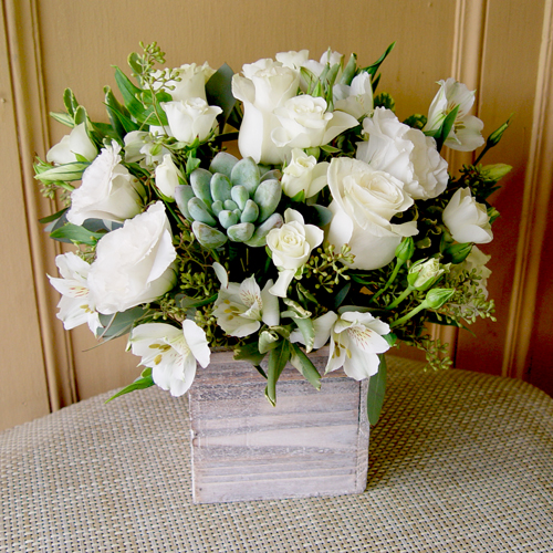 Box-of-Beauty.jpg