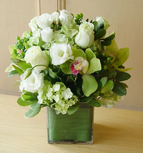 Green-and-White.jpg