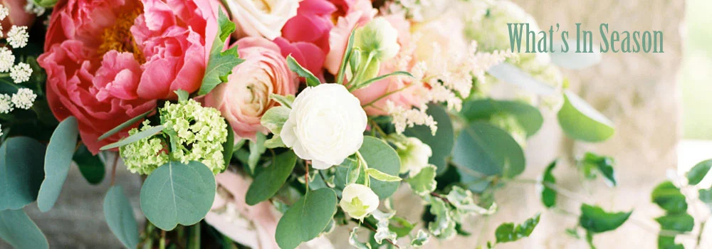 Spring What's That What's In Season - Spring-Oakland Florist | Same Day Hand Delivered ...