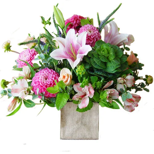 Chic Blooms -by Apple Blossom Florist