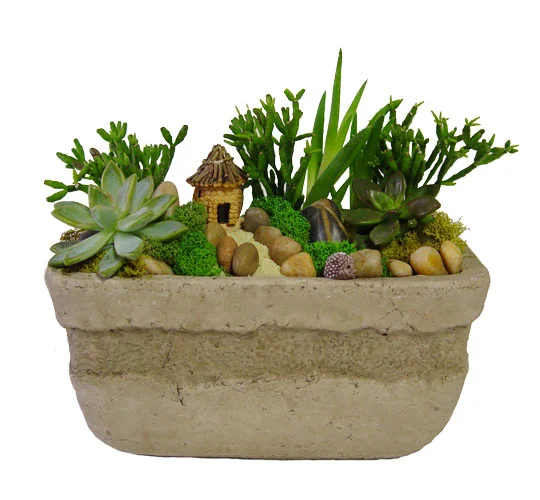The-little-garden.jpg