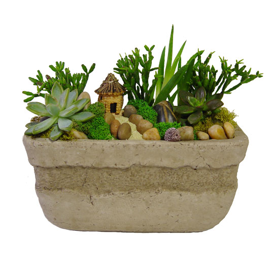 The-little-garden.jpg