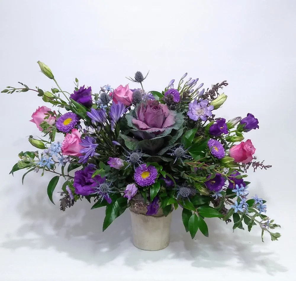 Designer's Choice -by Apple Blossom Florist/Get Well — Oakland Florist -  Flower Delivery by Apple Blossom Florist Oakland