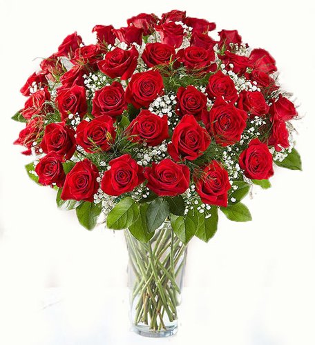 50-red-roses.jpg