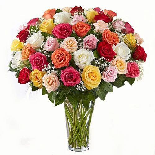 50-assorted-roses.jpg