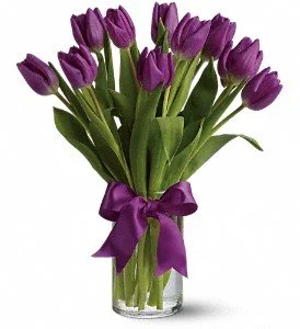 Puple Tulips.jpg