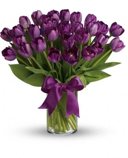 Purple Tulips Premium.jpg