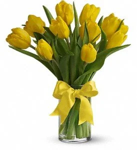 Yellow Tulips.jpg