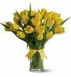 Yellow Tulips Deluxe.jpg