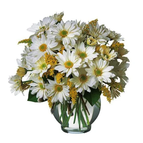 Daisy-Bowl.jpg