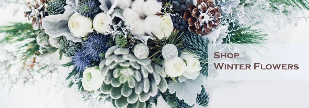 Winter Flowers