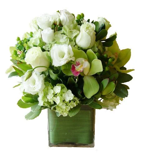 White and Green Elegant.jpg