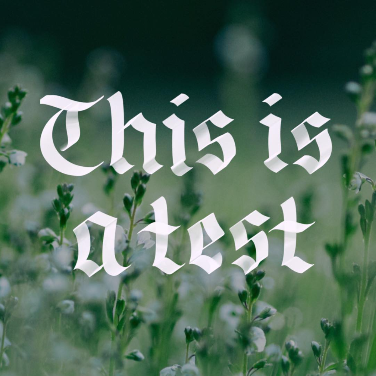 Screen Shot 2018-03-05 at 1.16.01 PM.png