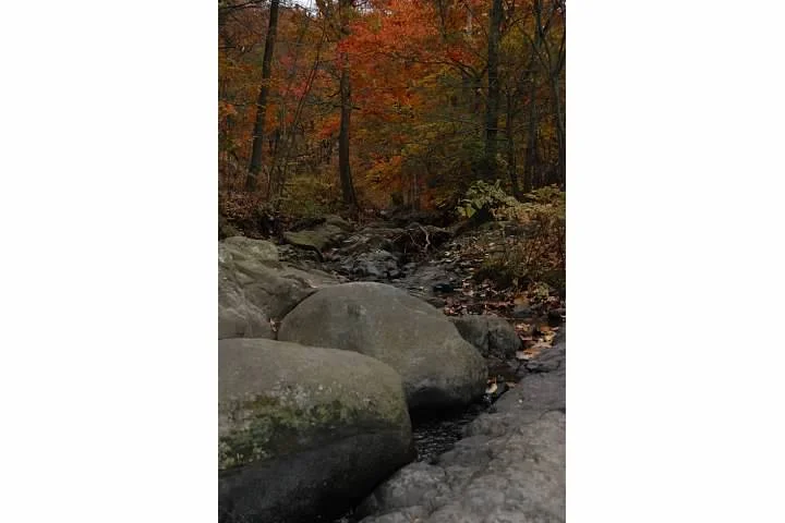 Difficulties/ Separation / Divorce