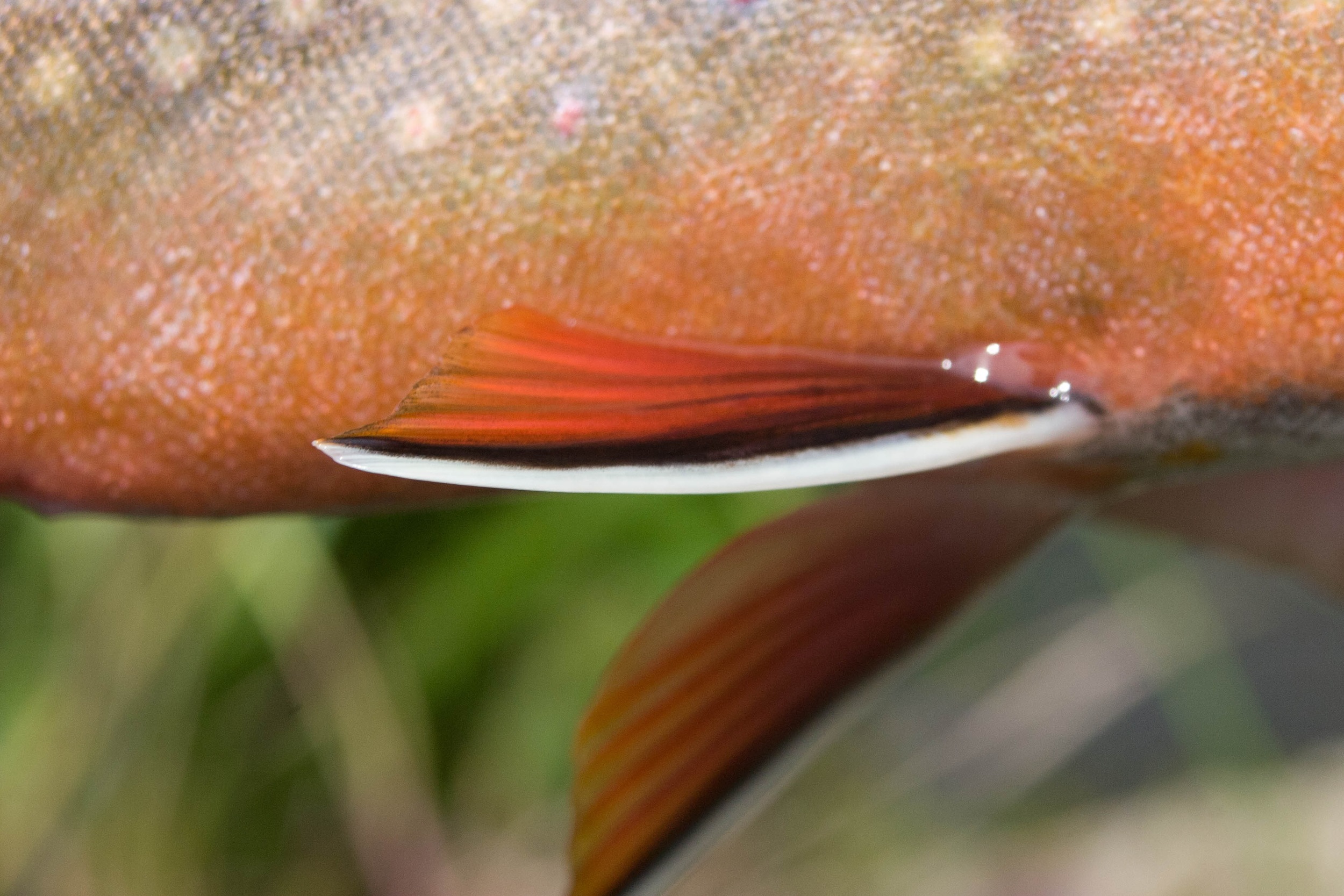 We've been busy.....