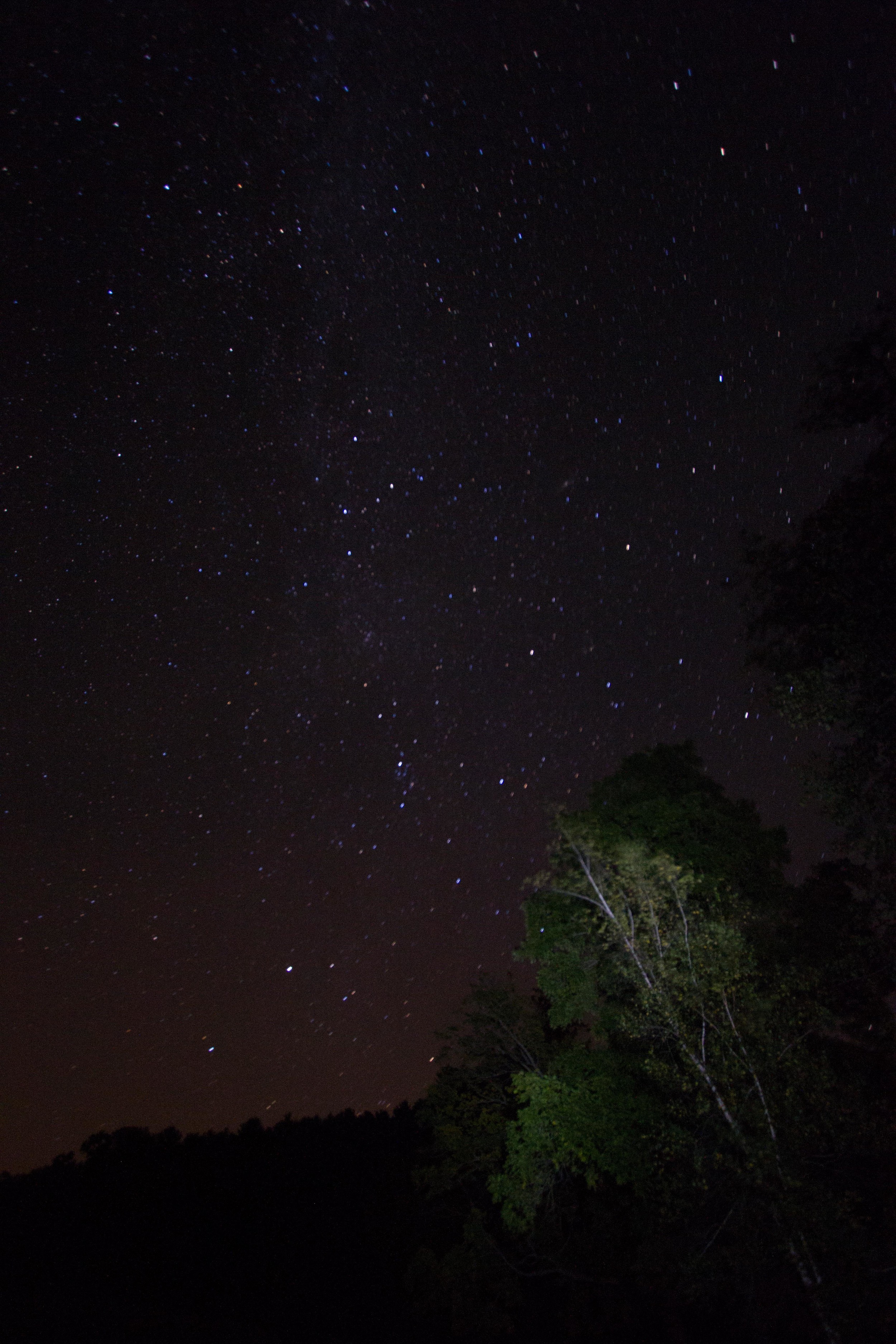 _MG_5436.jpg