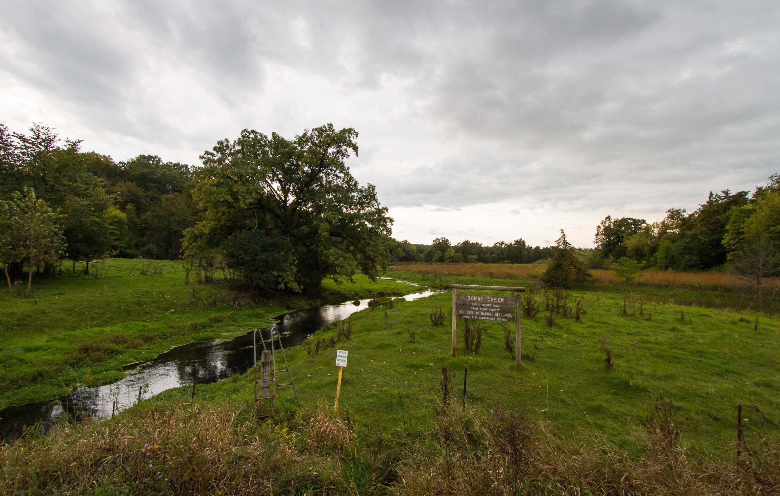 _MG_5487.jpg