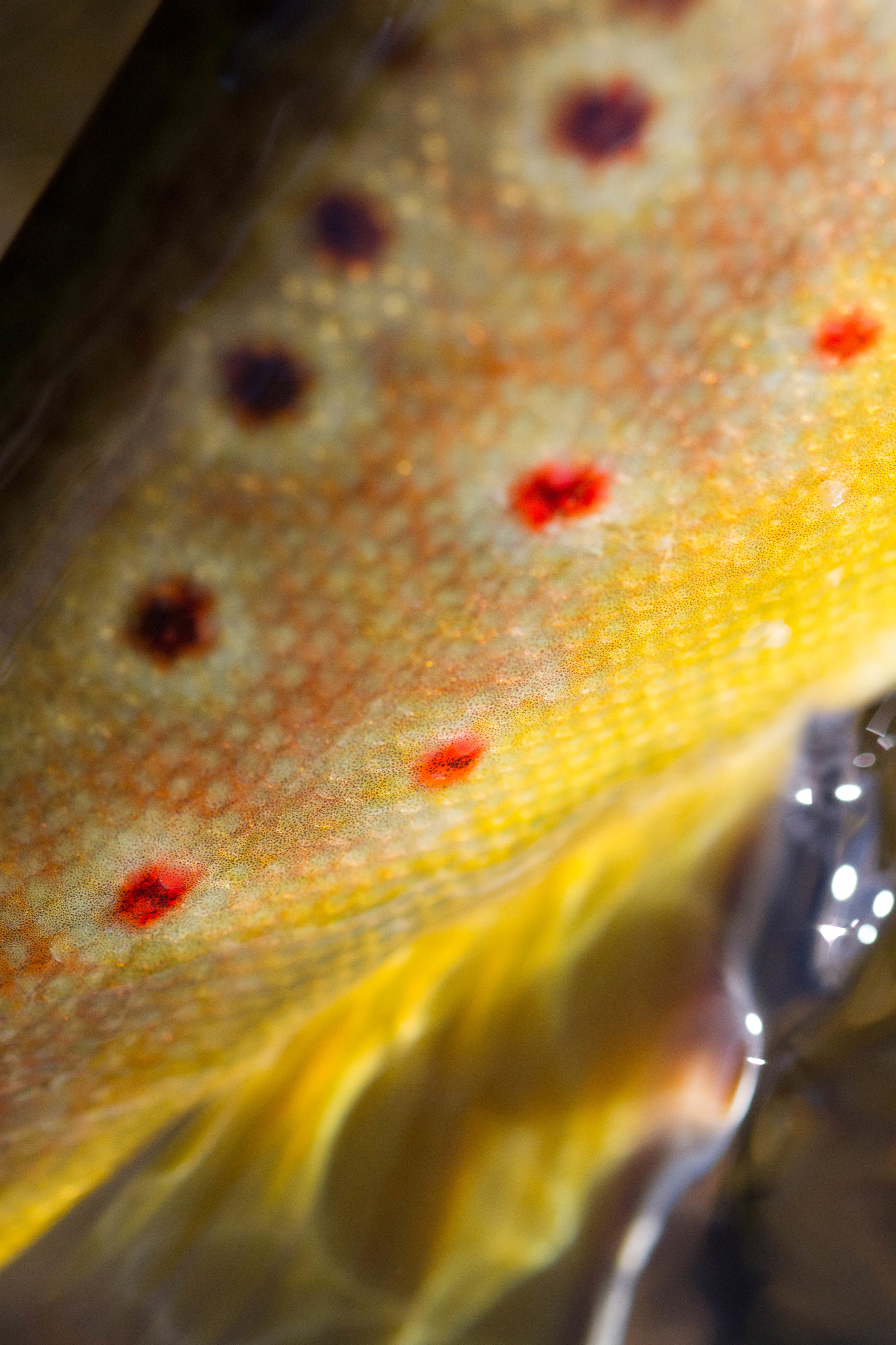 _MG_5625.jpg