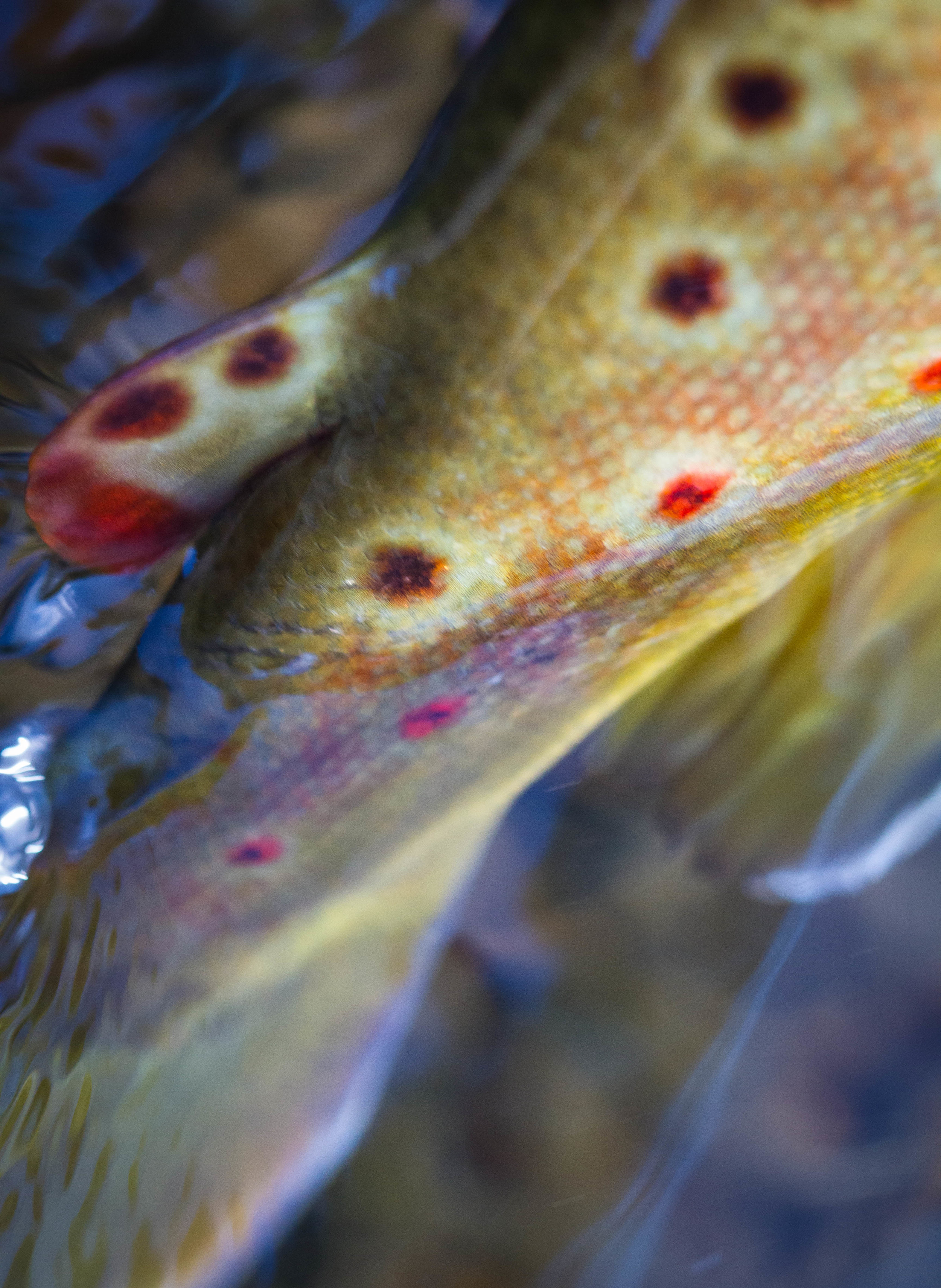 _MG_5652.jpg