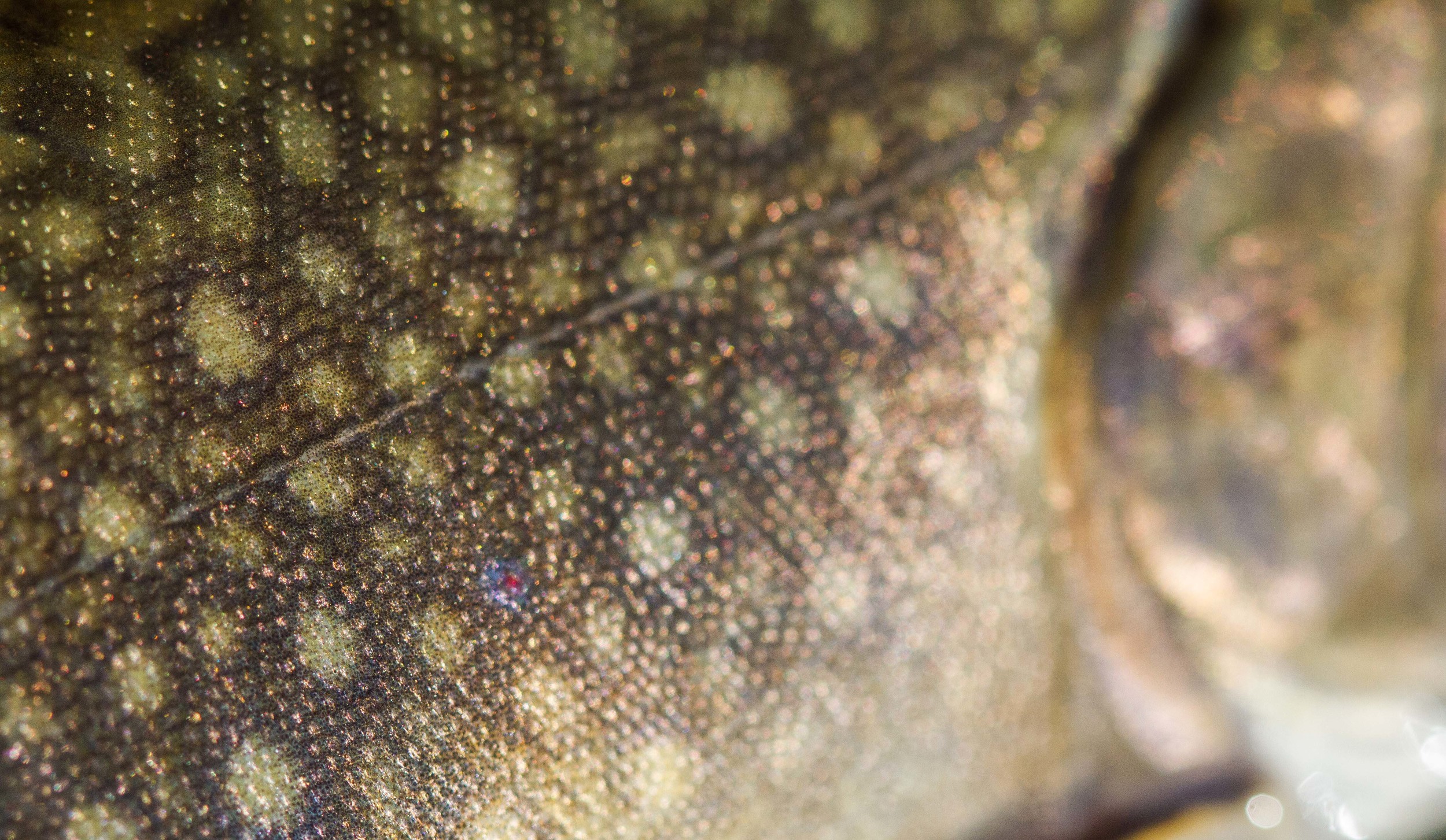 _MG_5680.jpg