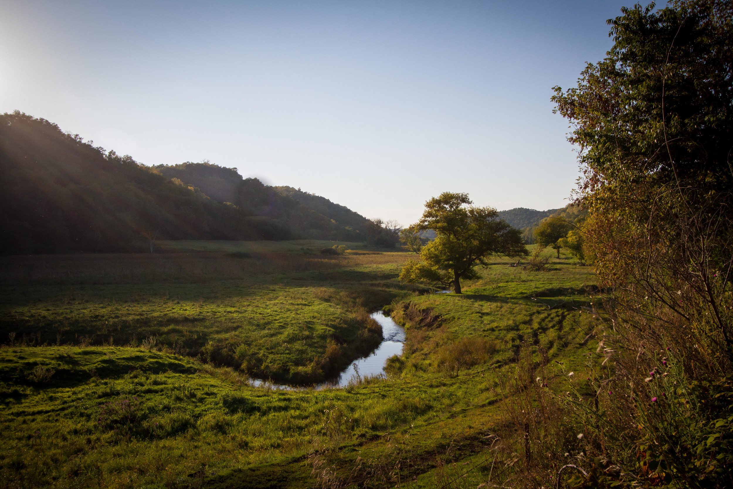 _MG_5773.jpg