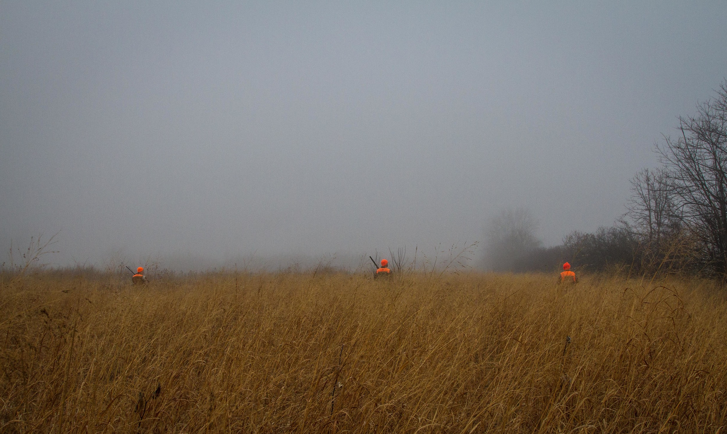 PheasantHunt21.jpg