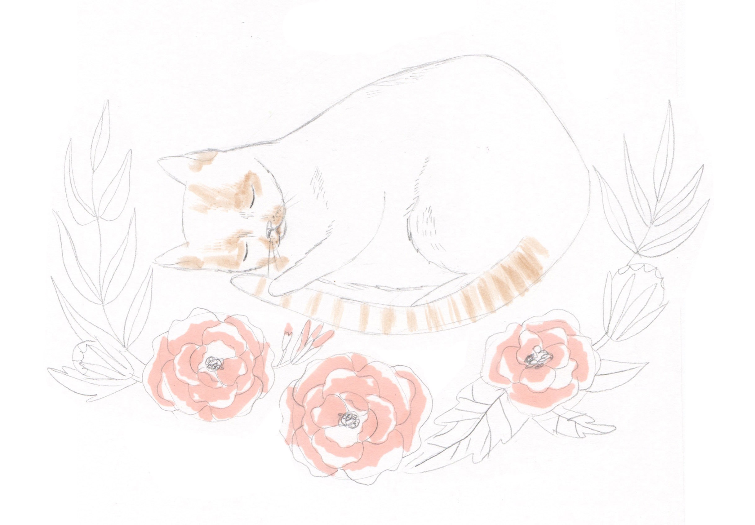 The original sketch 