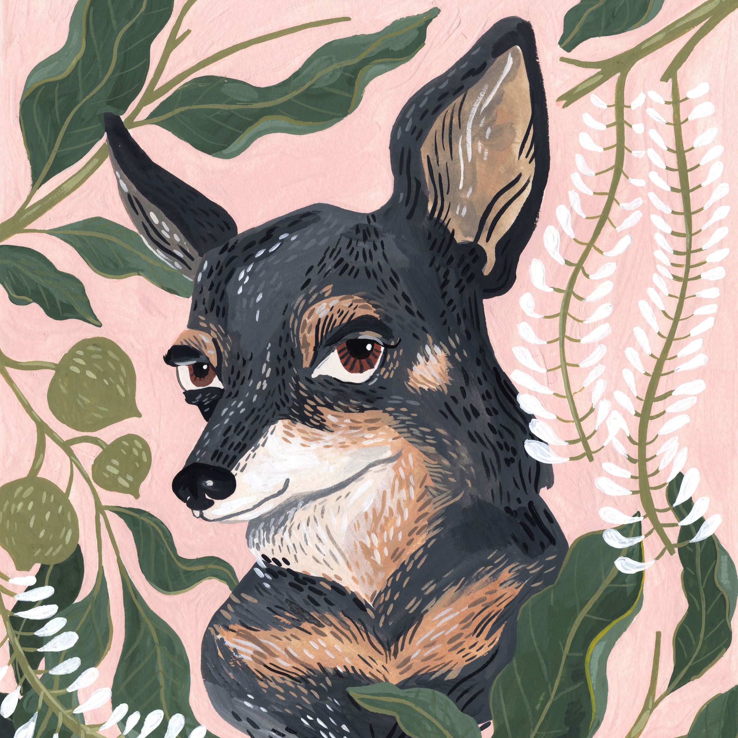 Pet Portraits