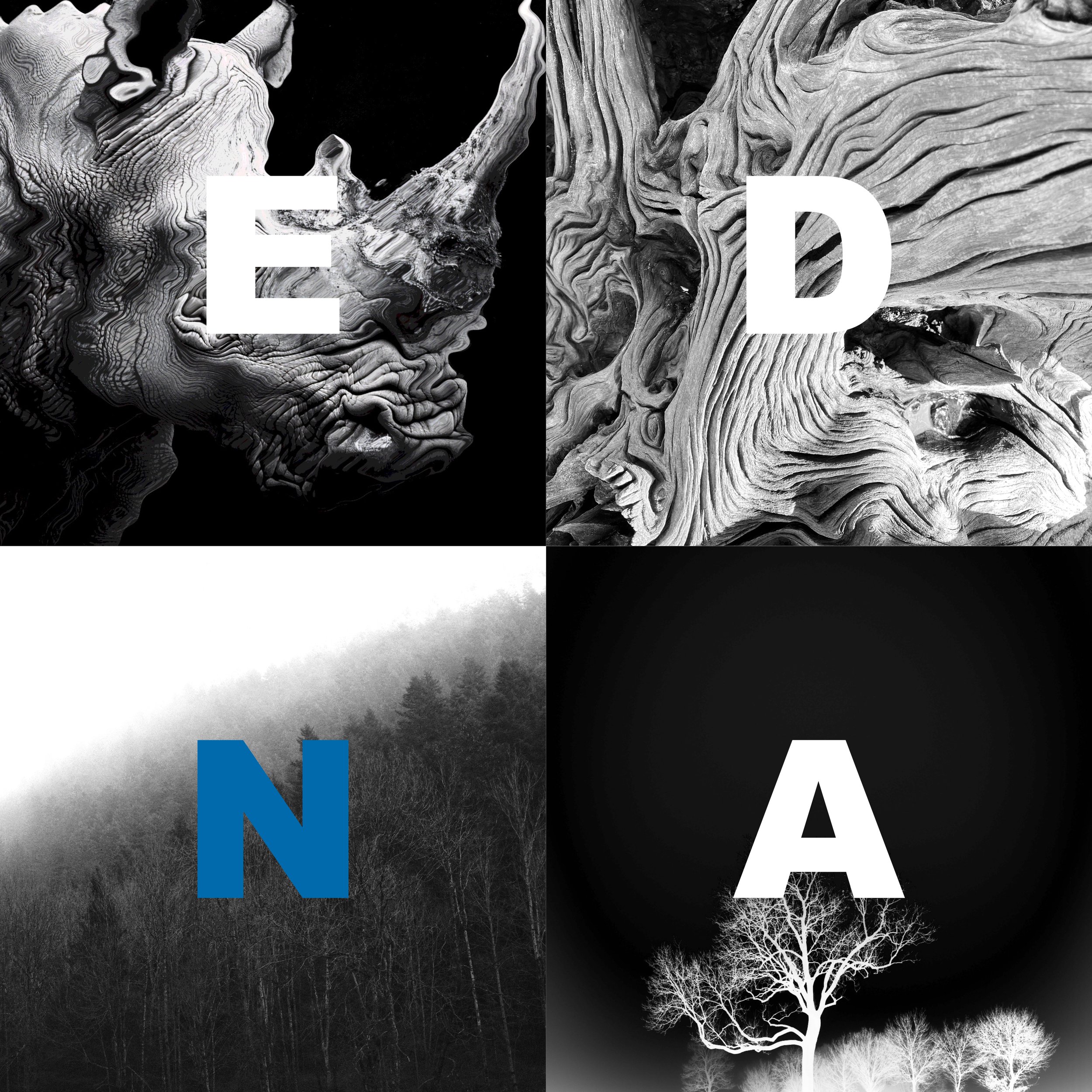 EDNA - Album Release Day!