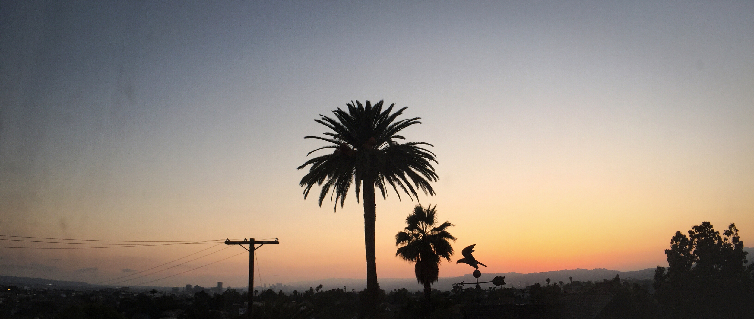 Magic Hour - Shot on an iPhone 6 with Moondog Labs 1.33x Anamorphic Lens Attachment