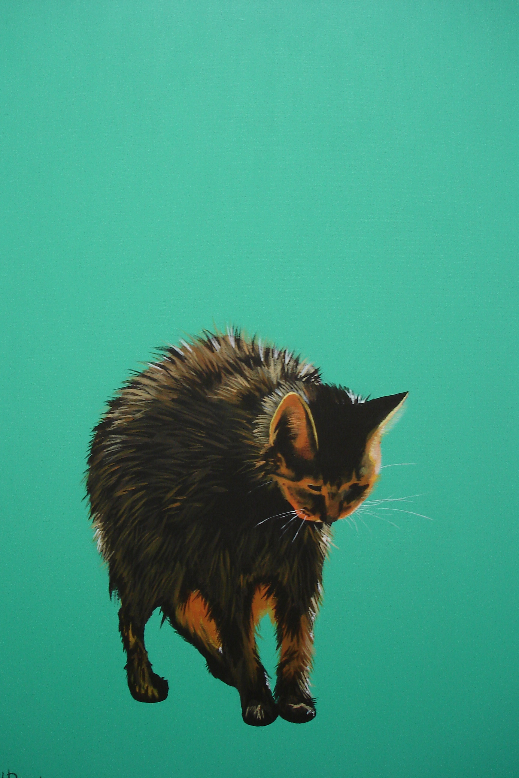   The Wet Cat  - acrylic on canvas 24" x 30" 