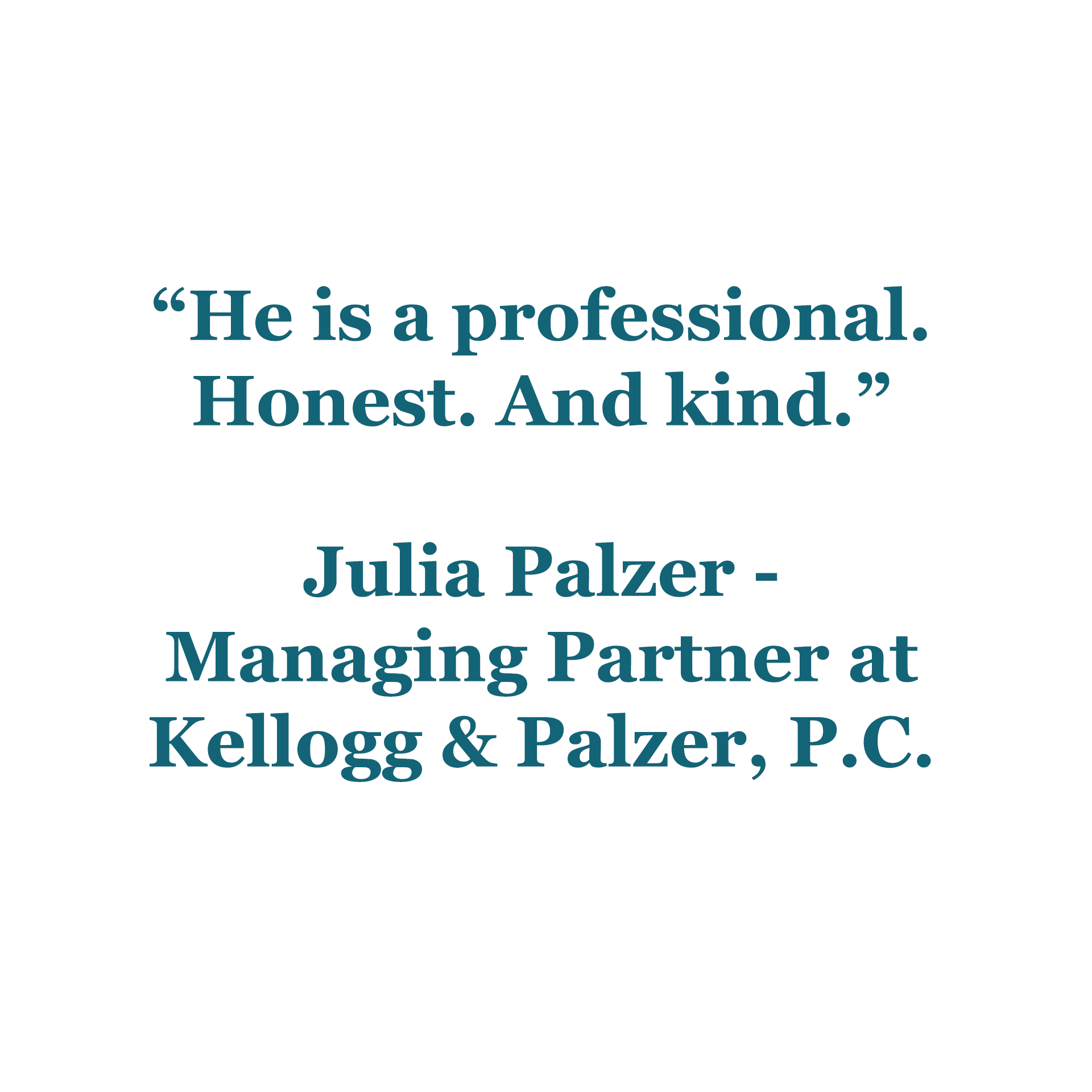 Julia-Palzer_Excerpt.png