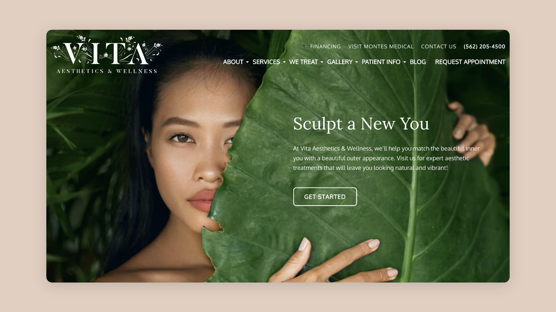 Vita Aesthetics &amp; Wellness