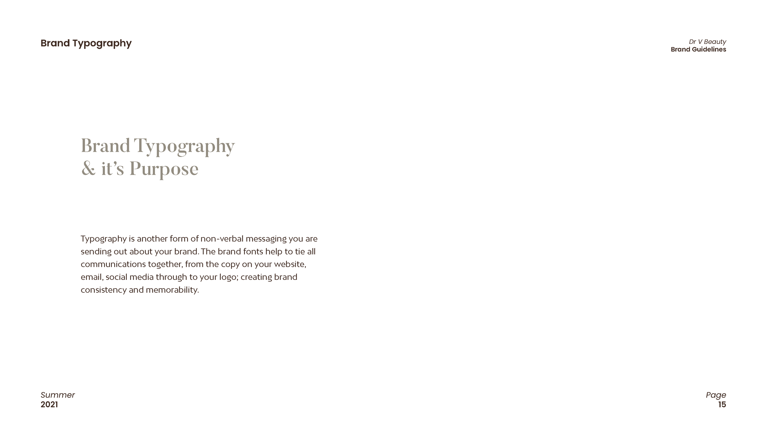 Dr V Beauty - Brand Guidelines_Page_15.png