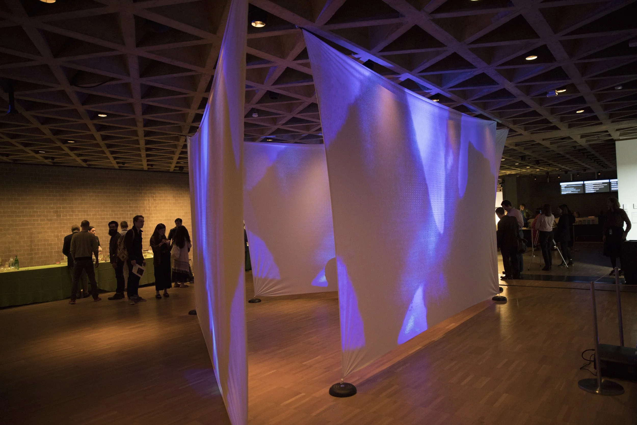 Gallery+Lumia-047.jpg