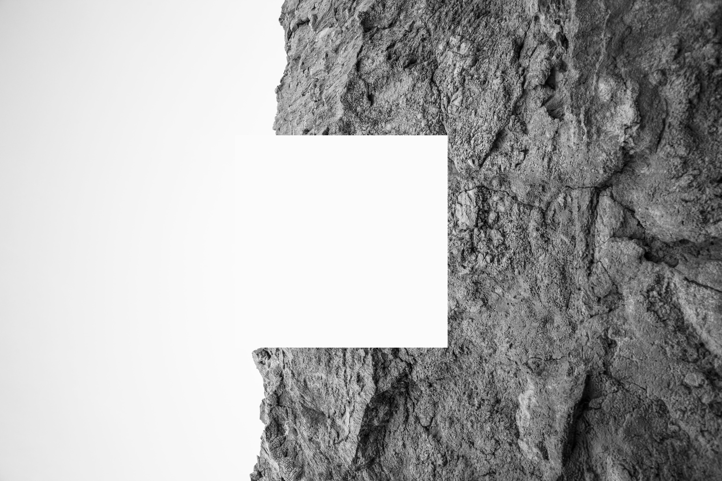 Homage to Josef Albers, White, 2016