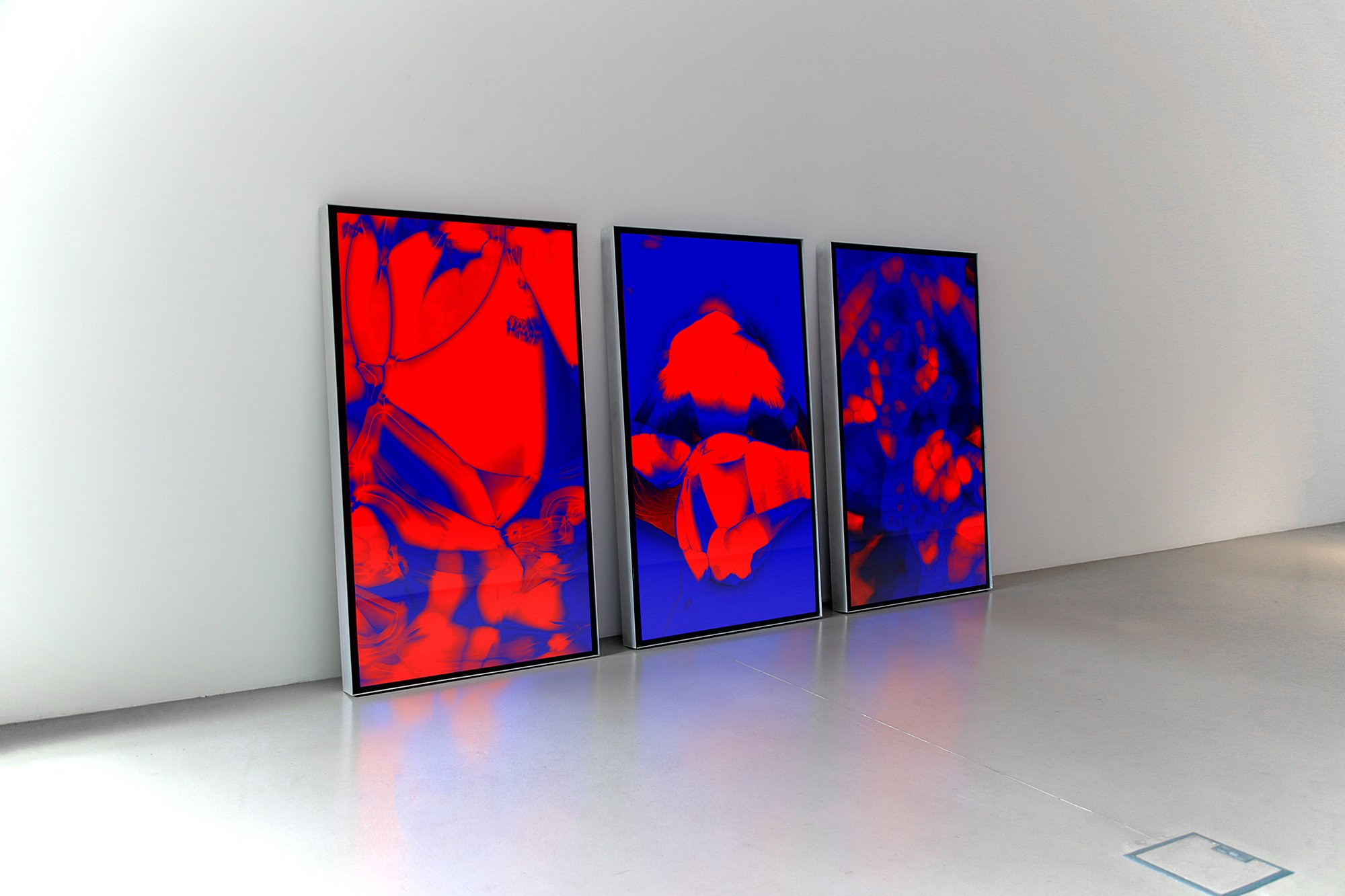 FooledEnoughwithNumbers_StanelySreetGallery_install_photoby_KCL_02_web.jpg