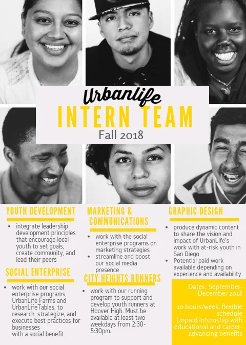 Spring Internship 2018.jpg
