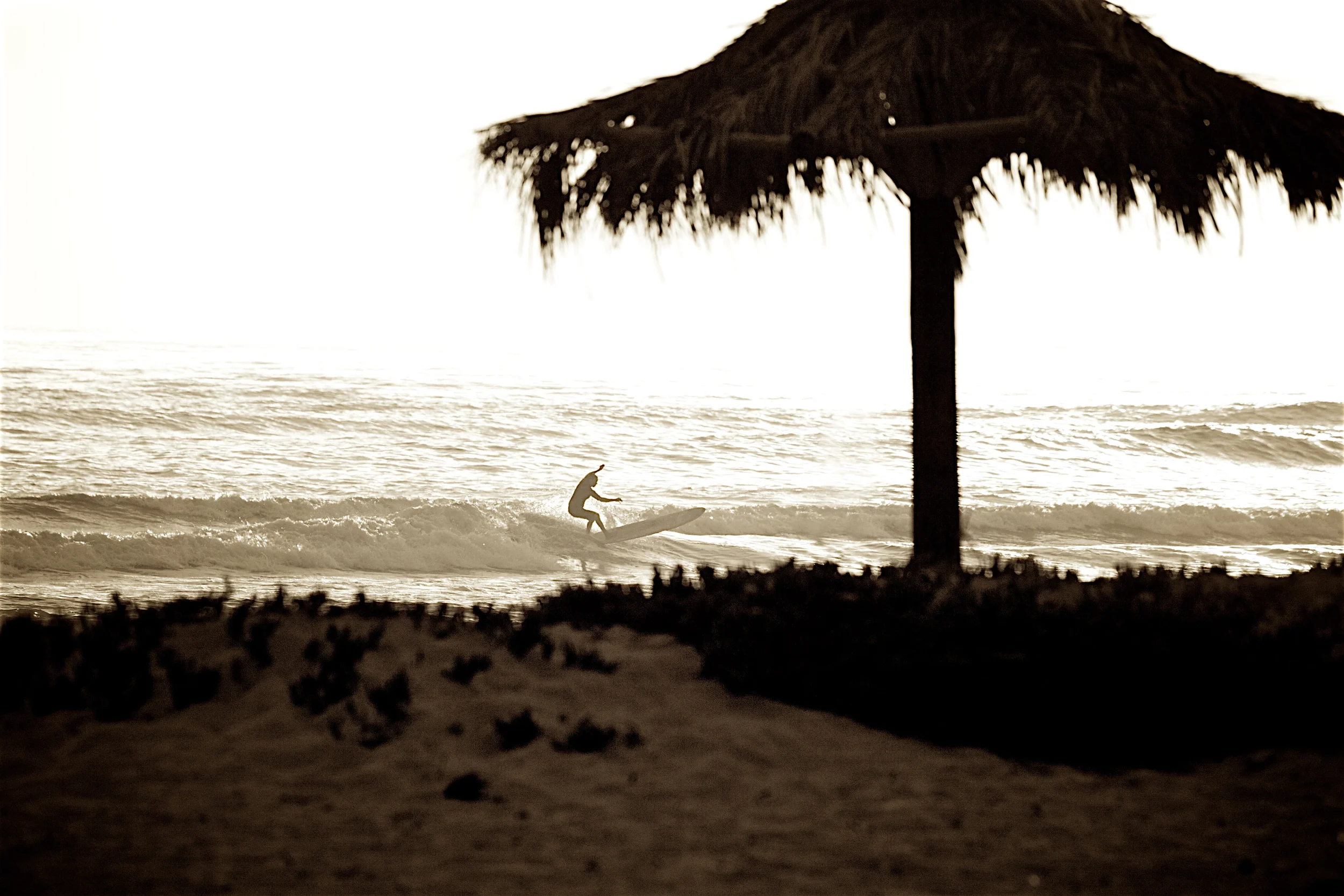 San O-2.jpg
