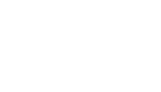 Asset 1.png