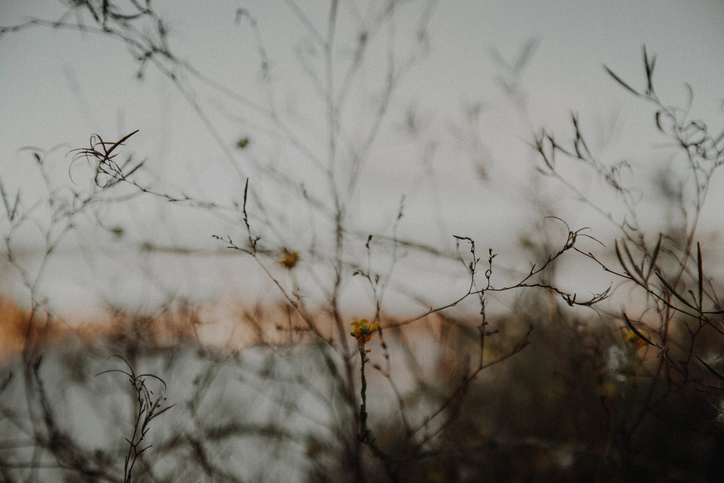 _MG_2112.jpg