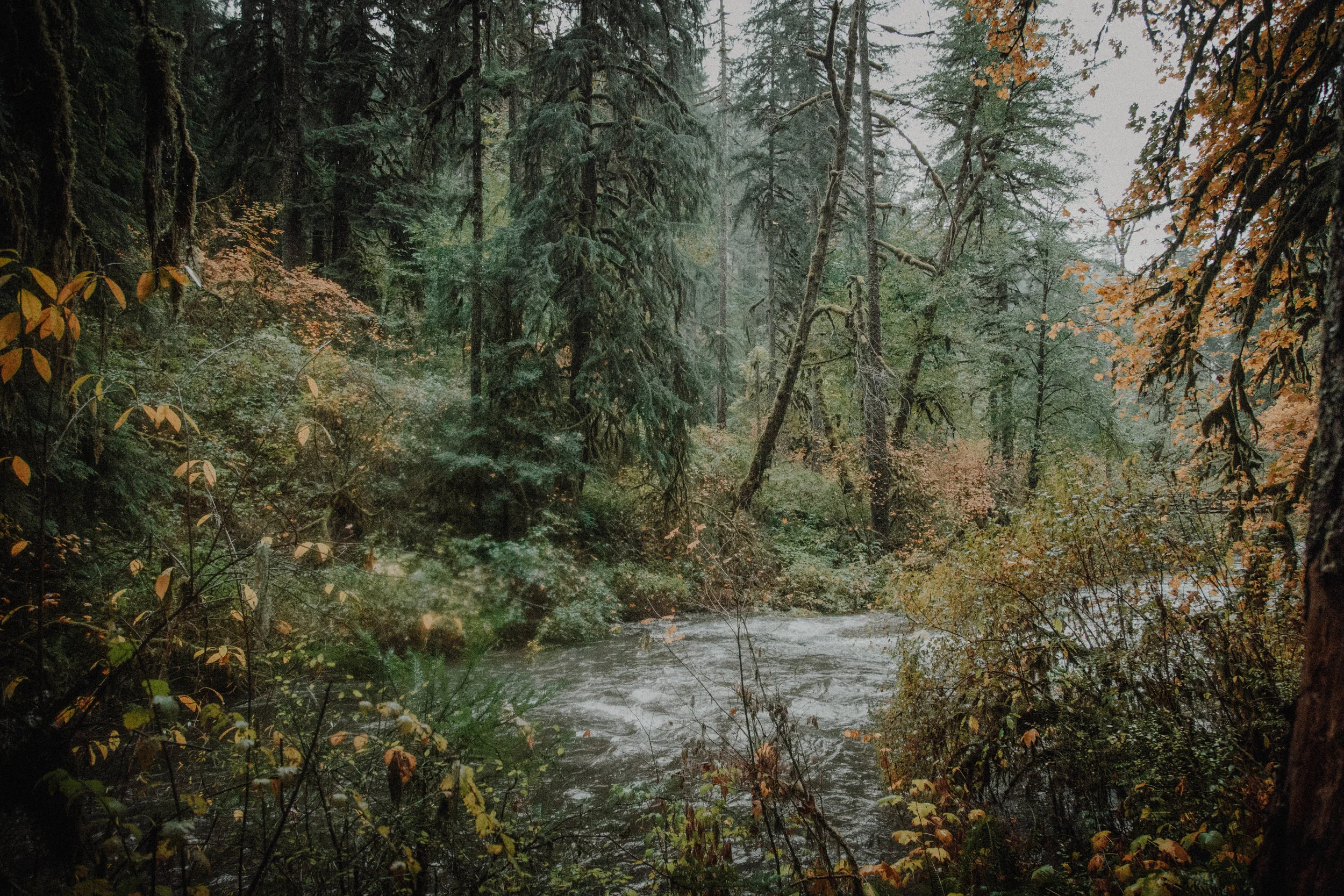 _MG_2886.jpg