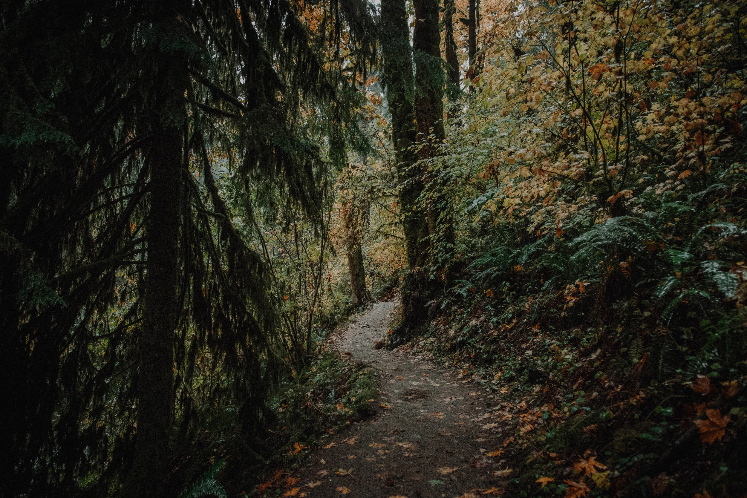 _MG_2827.jpg