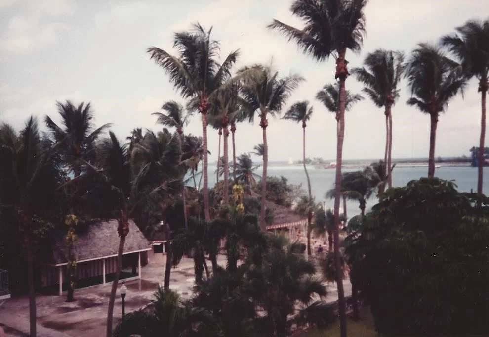 Scan0046.jpg