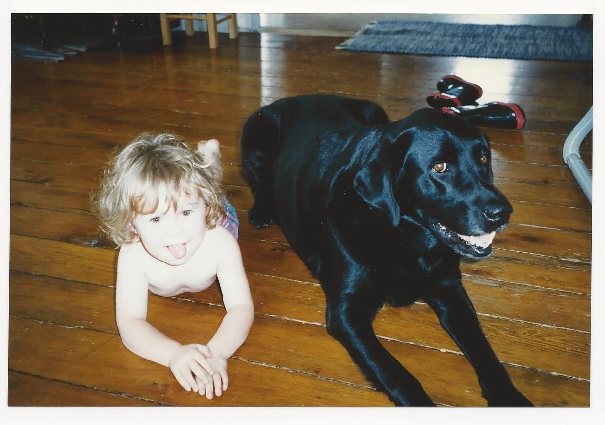 Scan0061.jpg