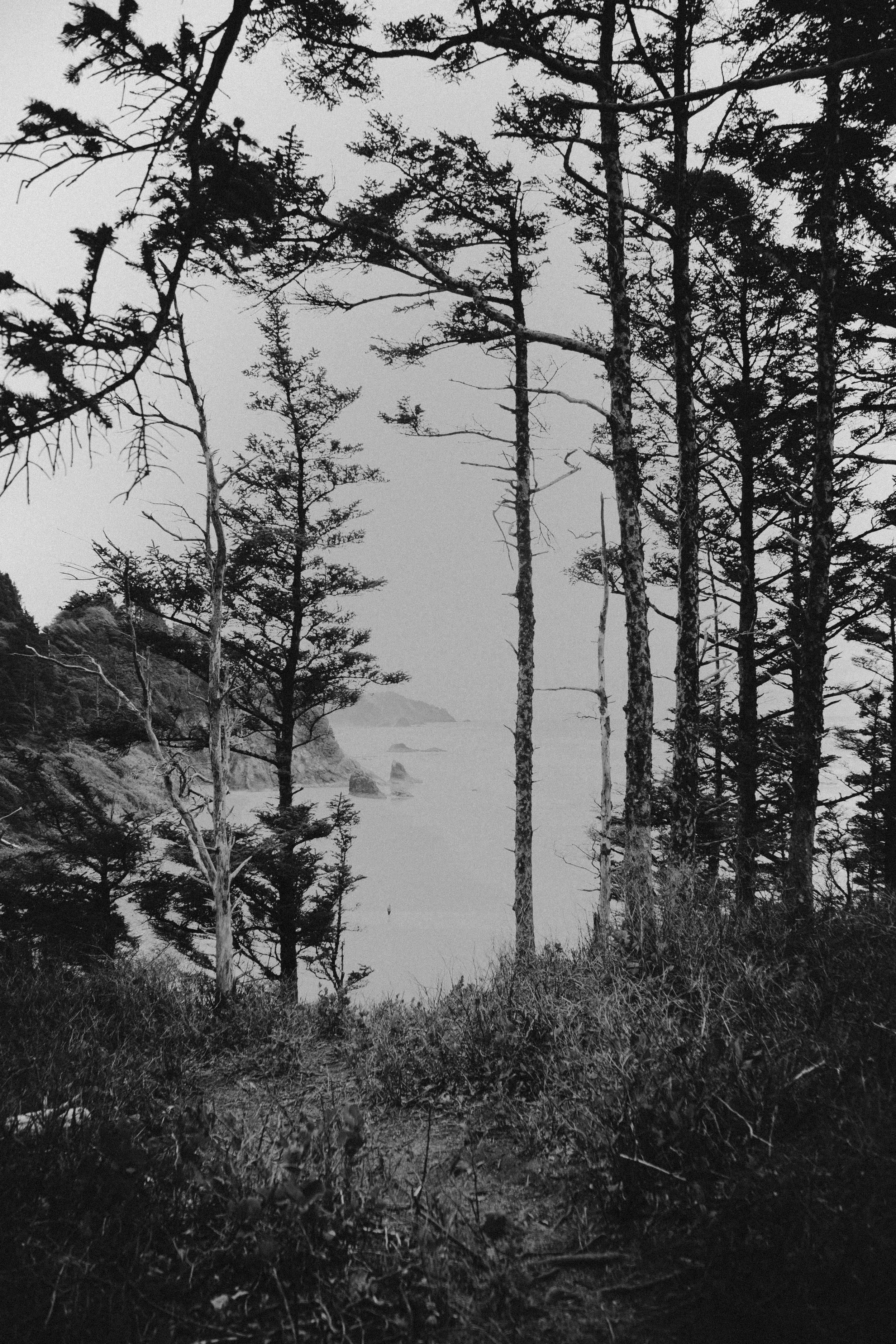 _MG_8894.jpg