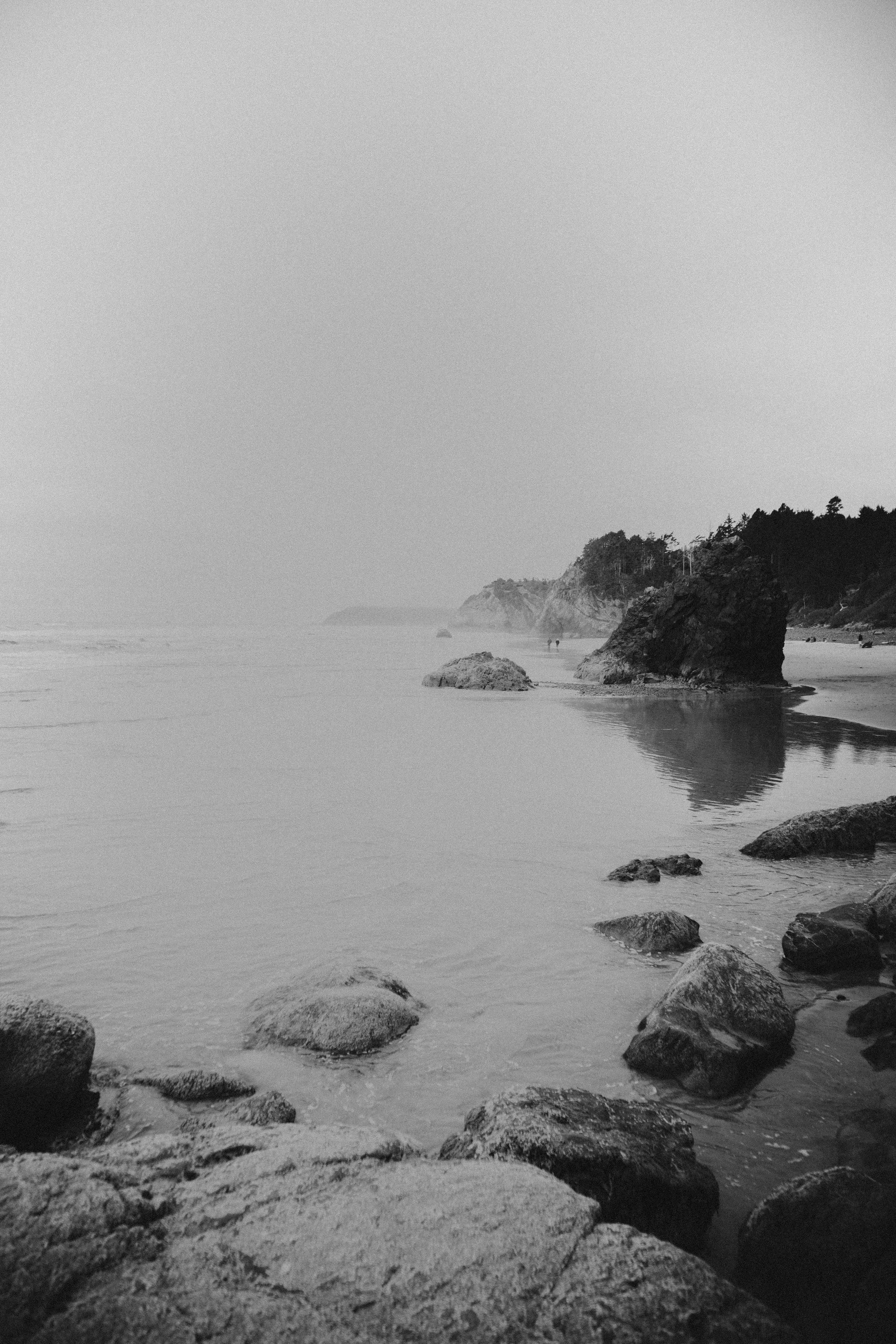 _MG_8887.jpg