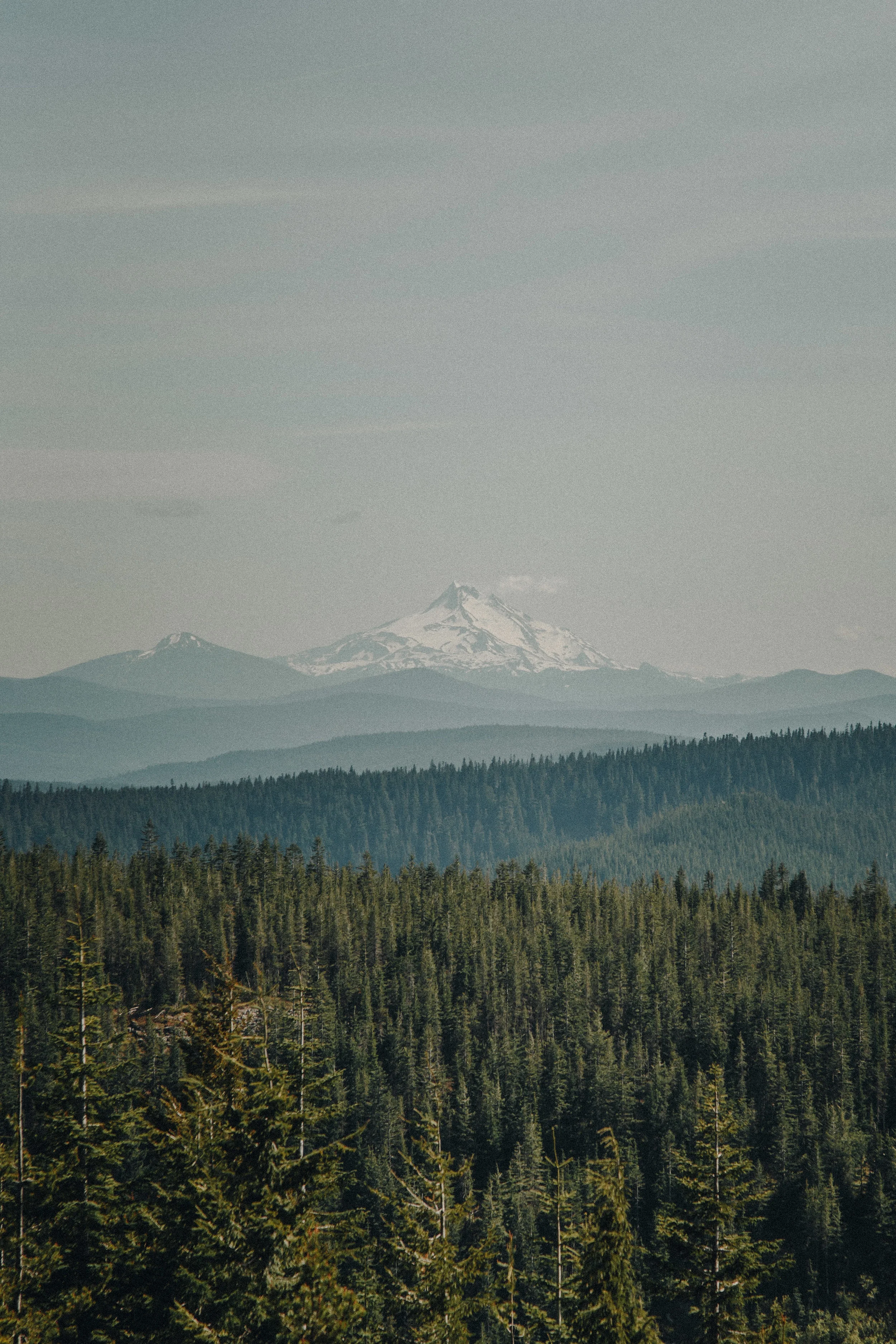 _MG_9391.jpg