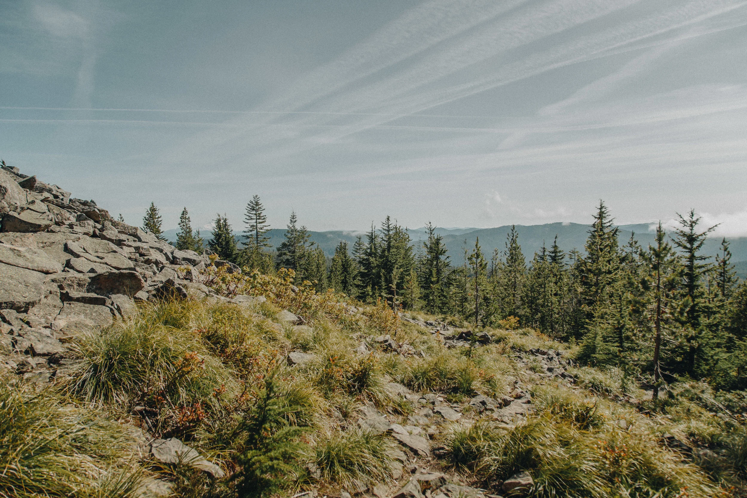 _MG_9418.jpg